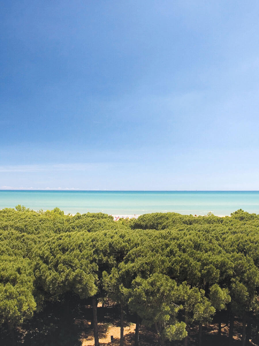 Hotel Valentino Pinarella di Cervia